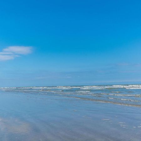 Perfect Location Spacious Yard Coffee Bar At This Lovely Beach Home Galveston Exteriér fotografie